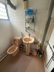 Hougang Avenue 1 (D19), Shop House #547562971